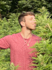 Chad Wiener surrounded by hemp flower